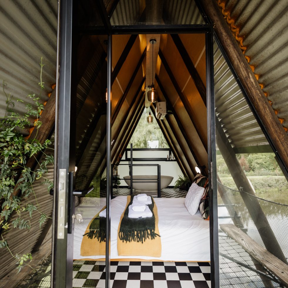 The Cabin